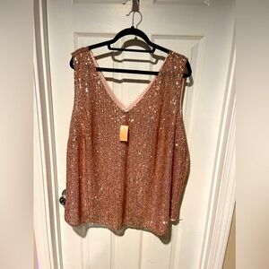 NWT Rose Sequin Blouse Loft Plus 22